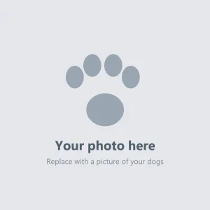 Puppy Birth Certificate